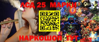 гашик Канаш