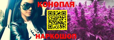 кокс Кандалакша
